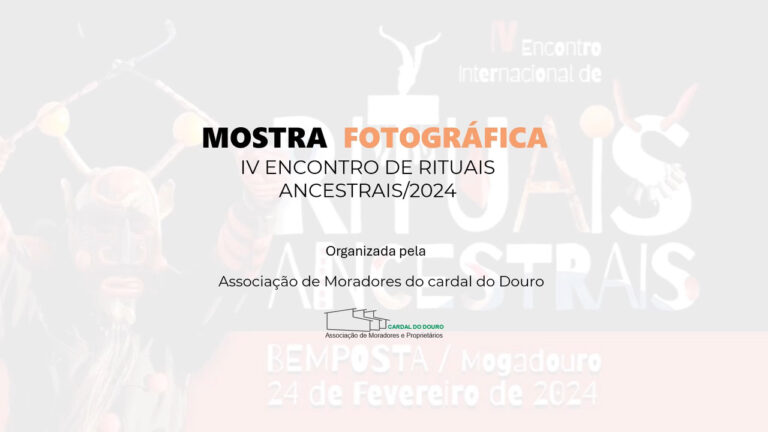 1643560696459361 1643560696459361