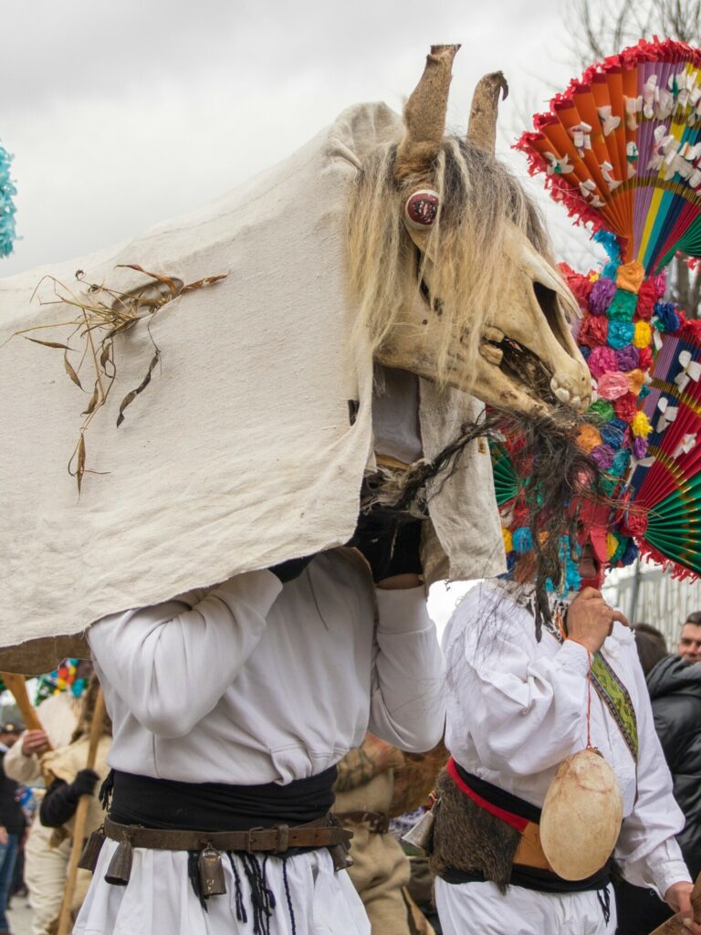 417453575 7177363065672813 1371972320360948797 n