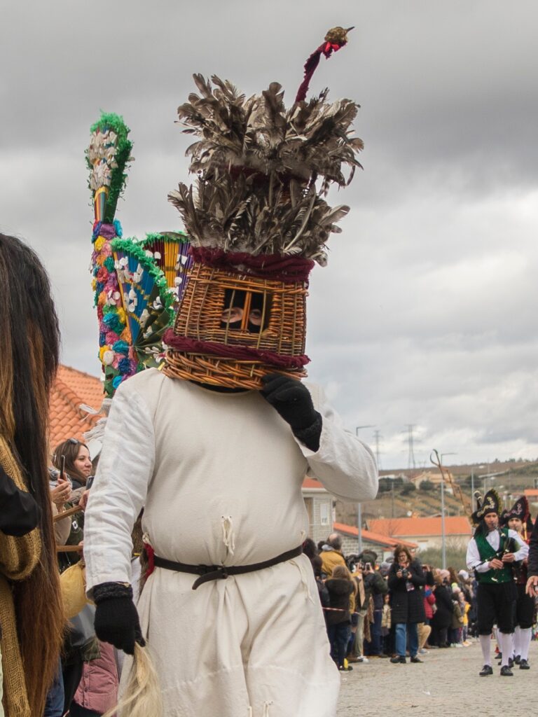 417503423 7177362795672840 3568029966204670014 n