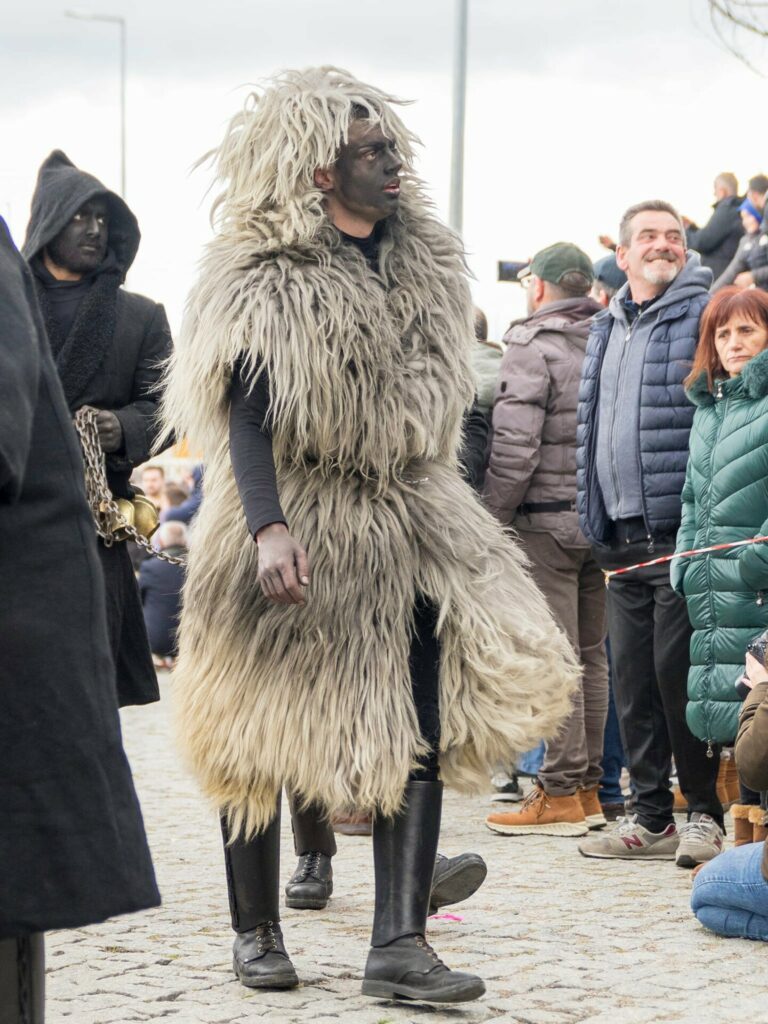 430300803 7197657810310005 7890798573440217917 n