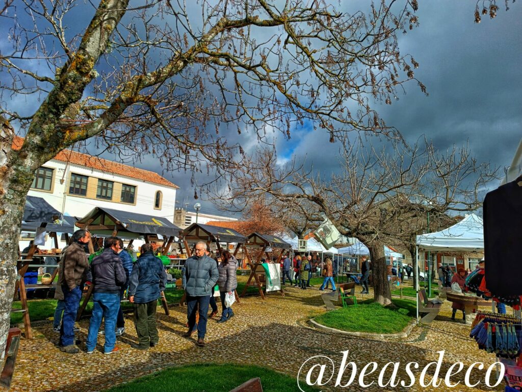 431332487 10160389316367284 5942621436399316159 n