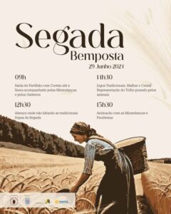 444154679 1625064294953123 1617458248859786074 n