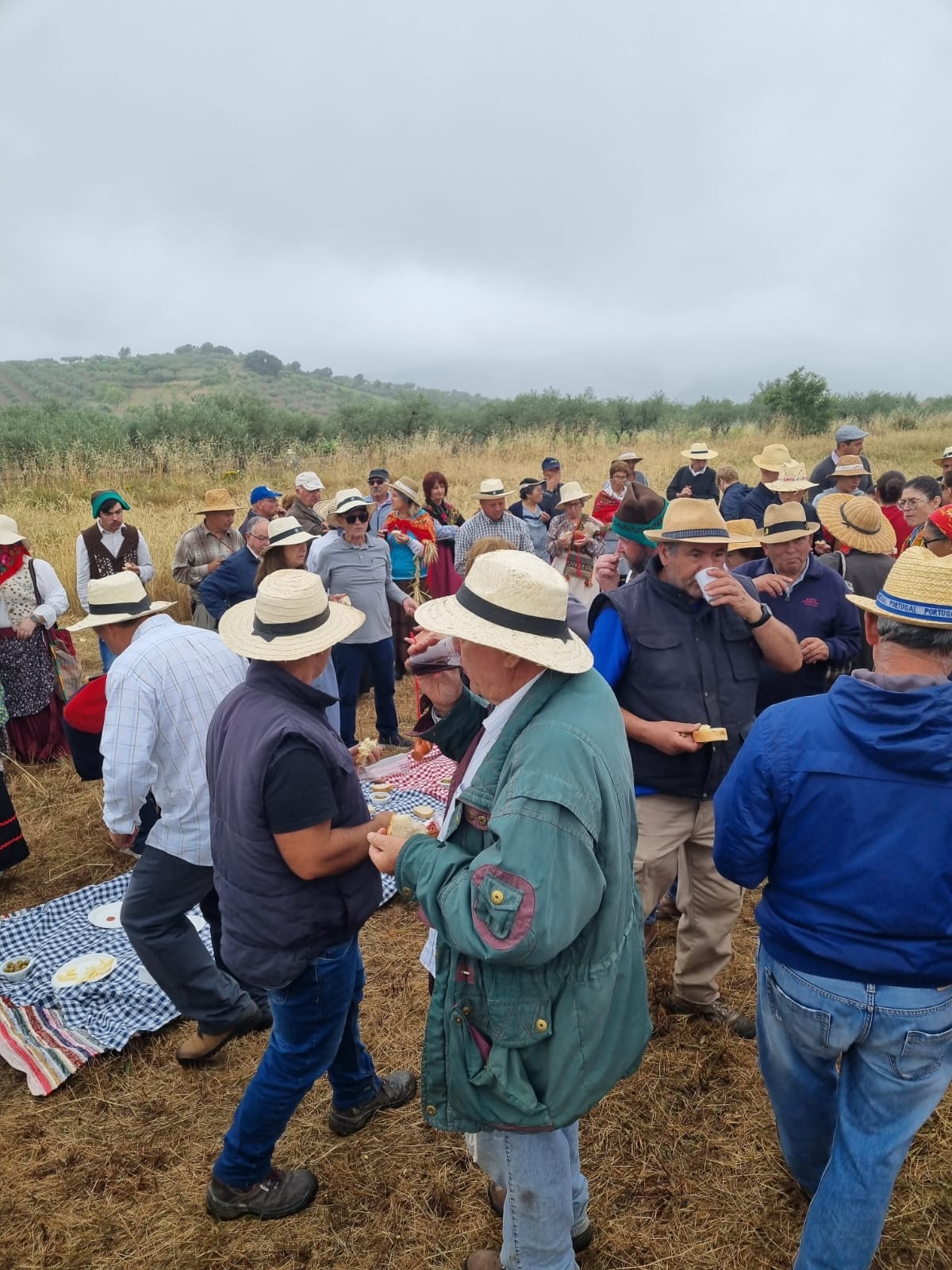 449355040 1644374986355387 7049069762611063649 n