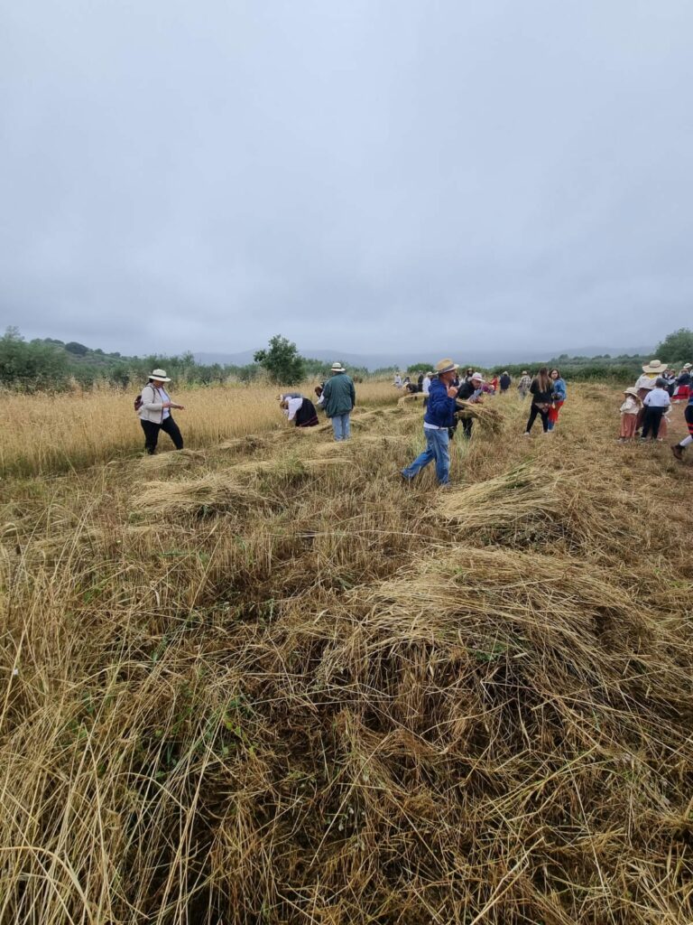 449359534 1644340336358852 5499415542923960249 n