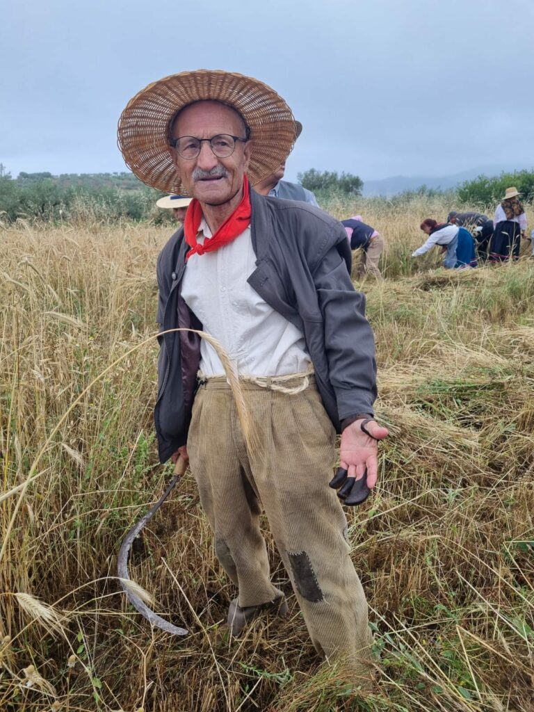 449364935 1644340219692197 3531732131798692218 n