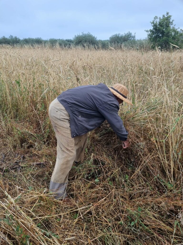 449366024 1644340079692211 8196743926700235611 n