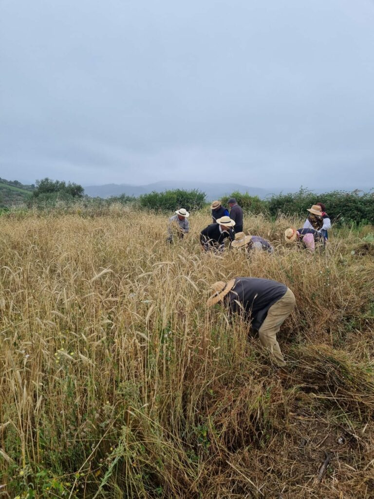 449379508 1644340146358871 5441065884010755705 n