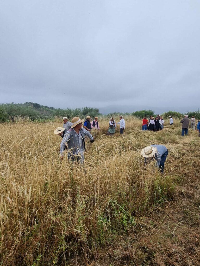 449385970 1644340243025528 1274028880984710494 n