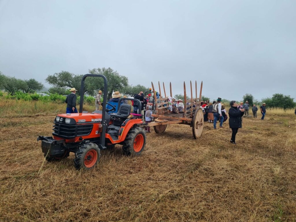 449390139 1644319063027646 3151314035327709244 n