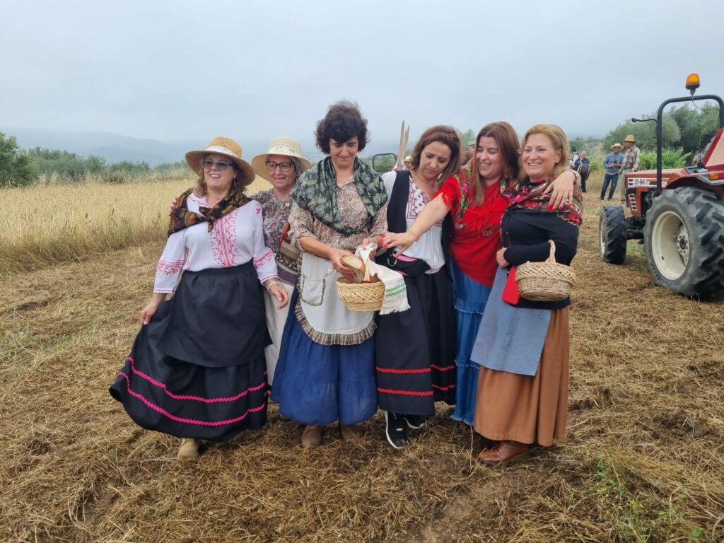 449390236 1644319096360976 8712067202624730062 n