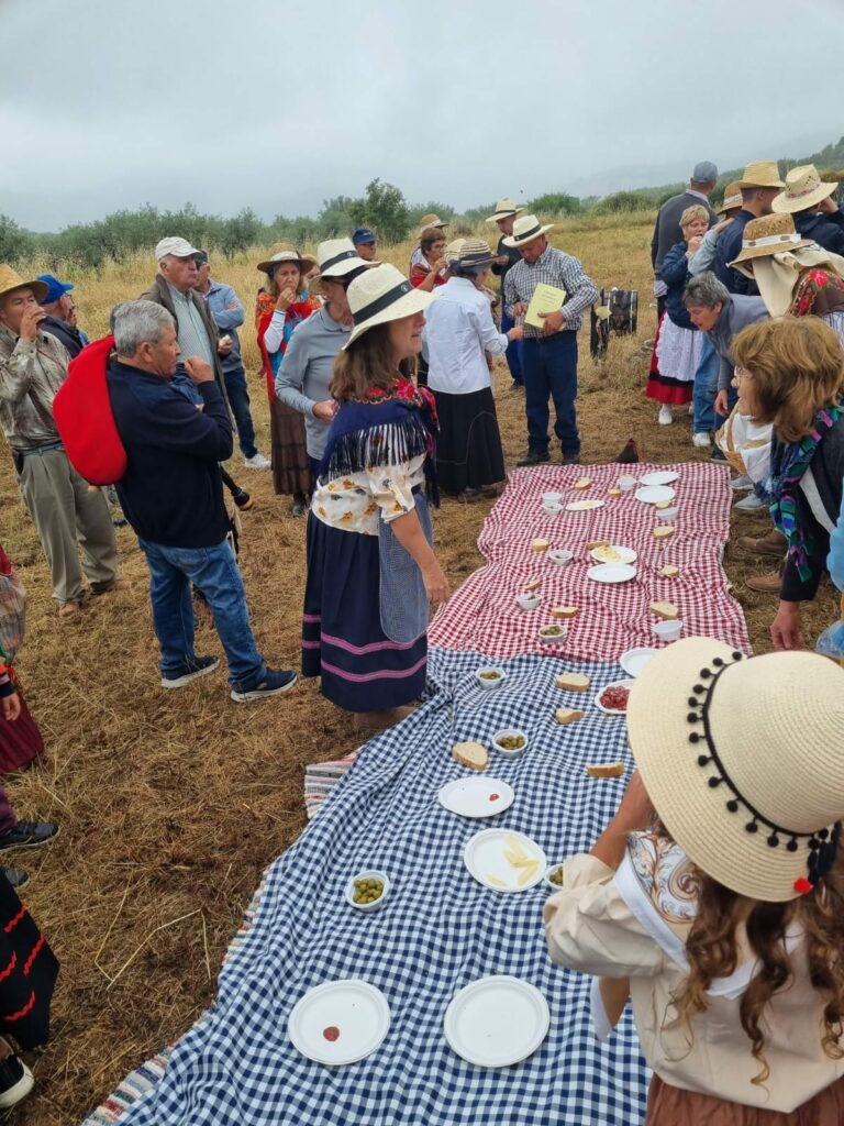 449402009 1644375013022051 7658962508469249825 n