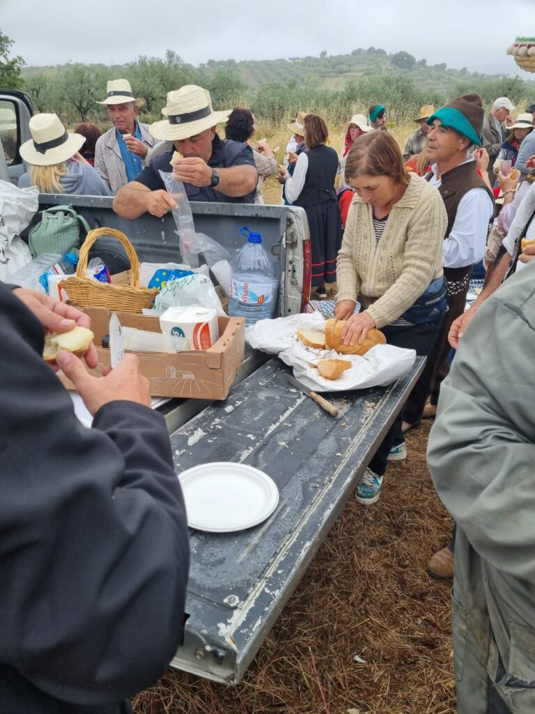 449416971 1644374963022056 6212718516578598720 n