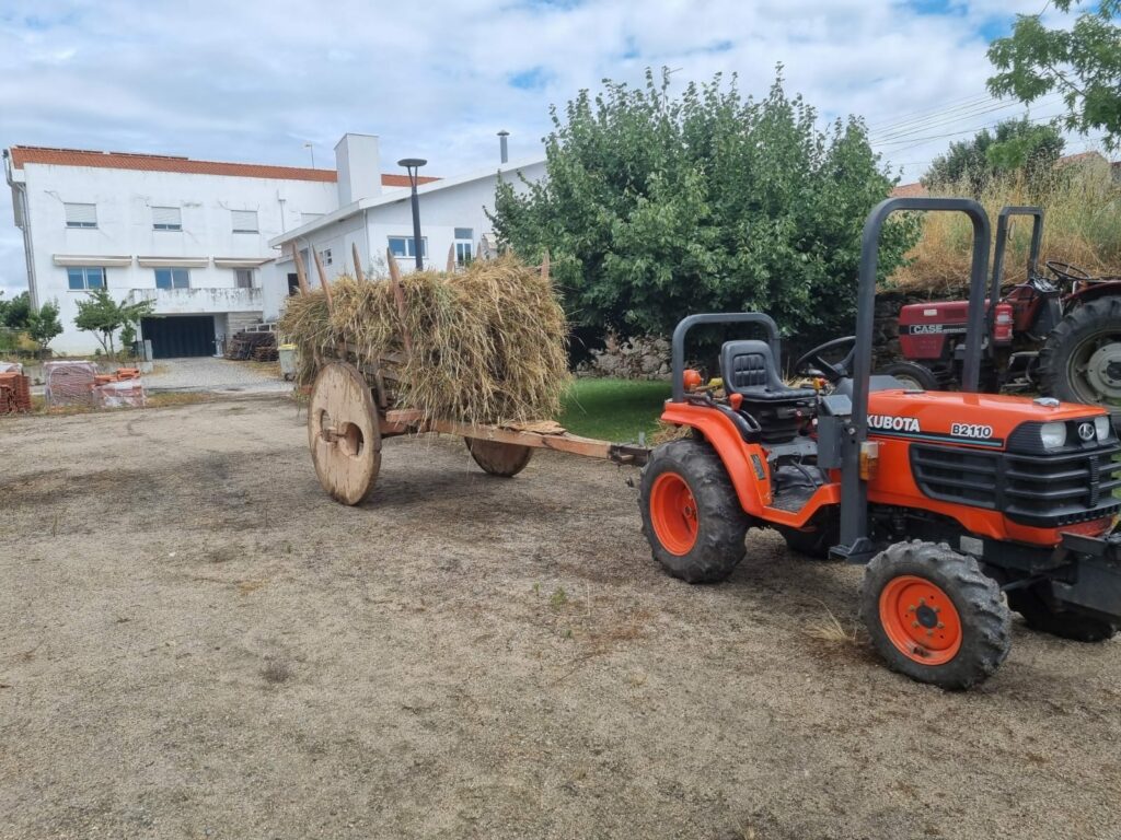 449485370 1644530839673135 7249096745030728485 n