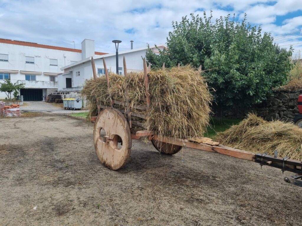 449632130 1644530913006461 3076903905570309374 n