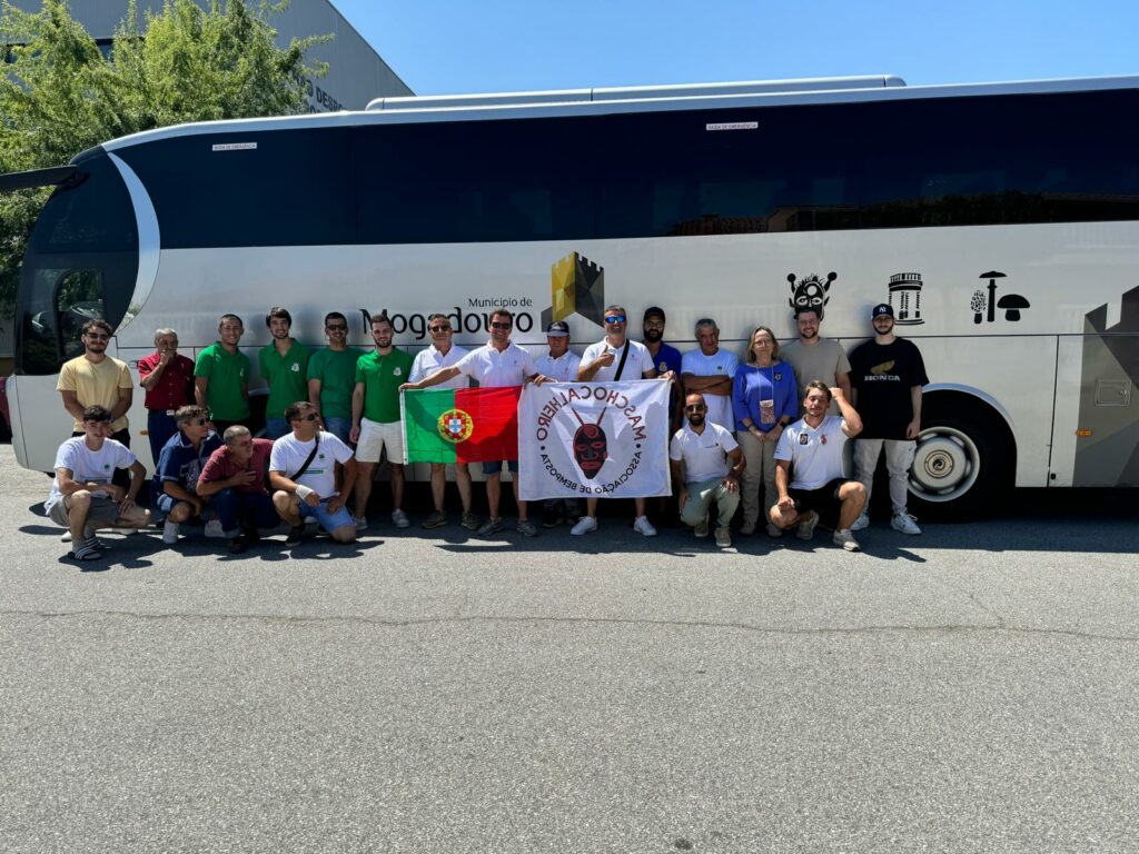 454208224 873670661460937 3663331070232344513 n